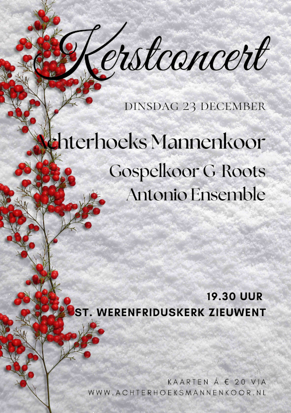 poster aankondiging concert